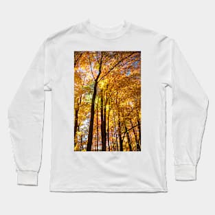 Autumn Leaves Above Long Sleeve T-Shirt